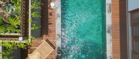 Una piscina en la azotea con agua cristalina, rodeada de una cubierta de madera y abundante vegetación.