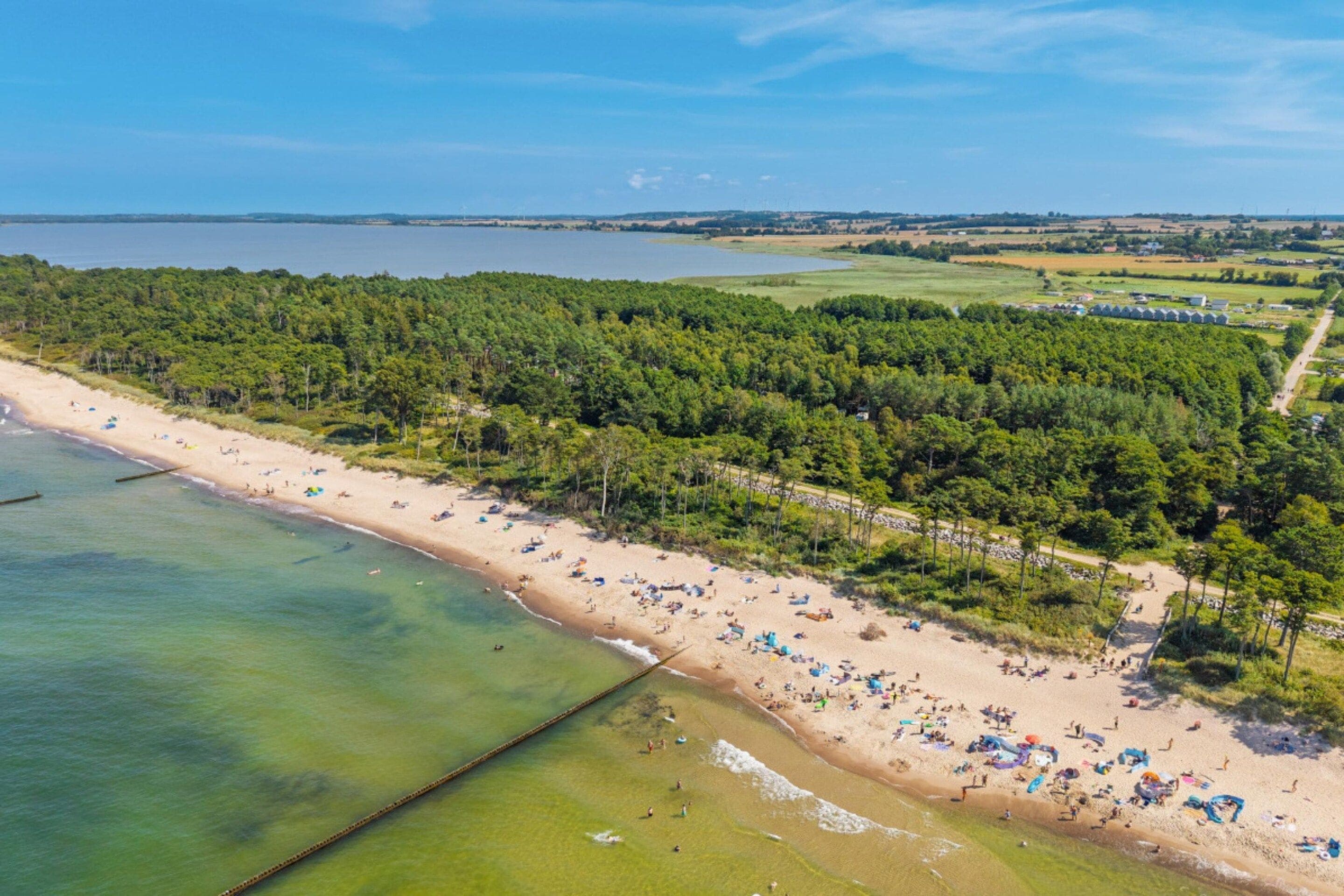 A beach with a forested area and a clear sky.