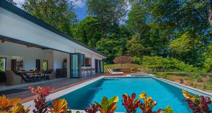 Modern secluded villa with private pool, jungle setting, and stunning Gulf views near Golfito.