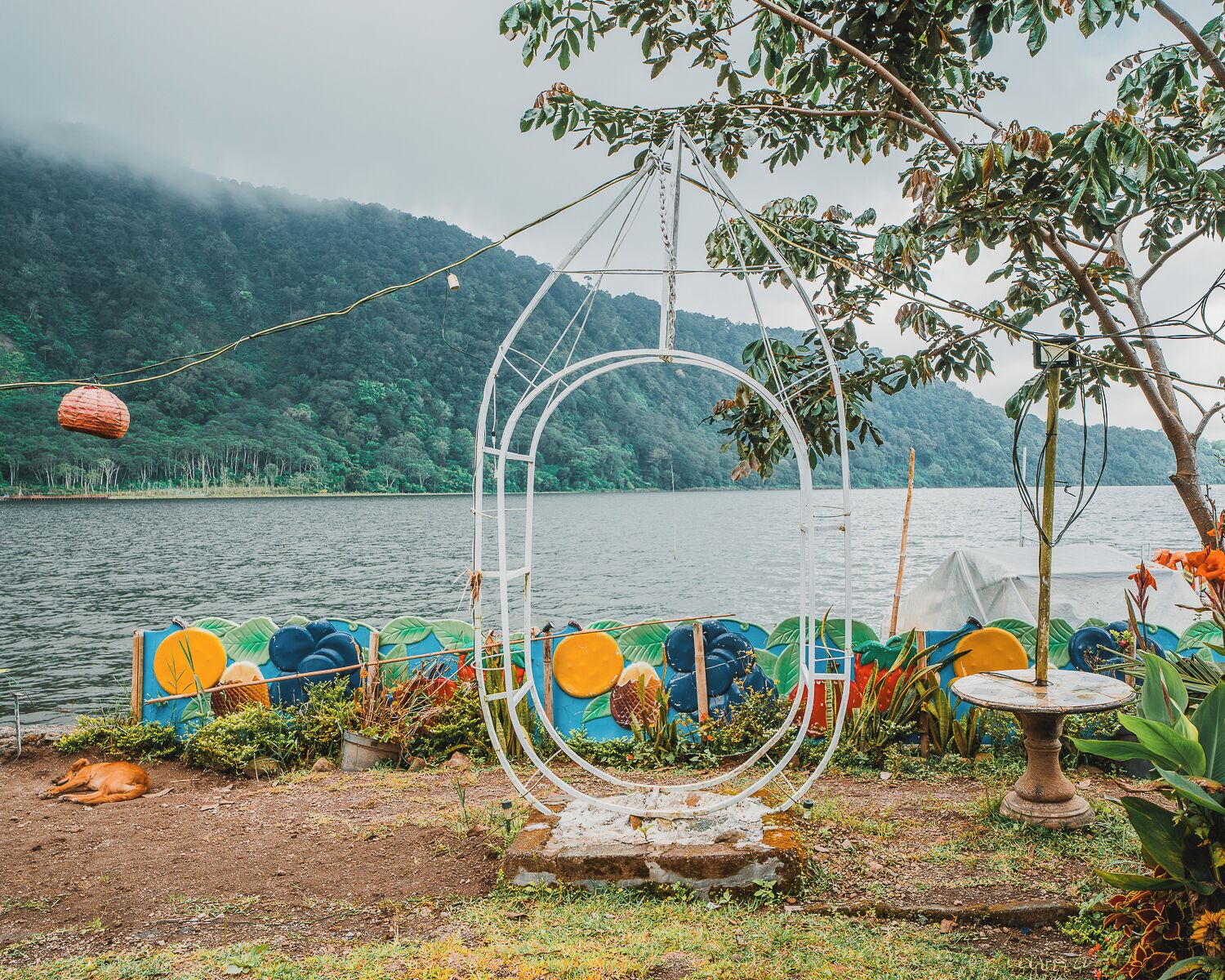 A garden with a circular metal structure, a small table, and a dog.