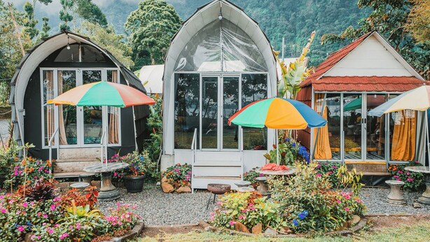 Three small, single-story structures with large windows, surrounded by a garden with various plants and flowers. - Catur Glamping Bedugul (Baturiti)