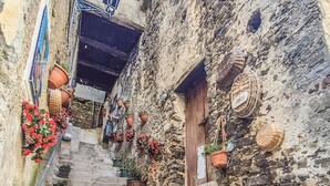 A narrow stone staircase with potted plants and baskets. - Sea and Sun House - Sun Option (Vibonati)