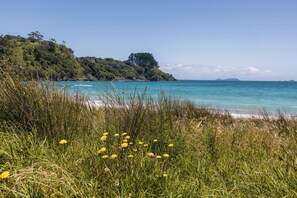 Beach - Miro Ridge in Palm Beach - Miro Ridge is a spacious elevated holiday home overlooking Palm Beach with sea views and generous indoor-outdoor living. Large sliding doors open to an expansive deck, while the open plan lounge and entertainer’s kitchen cr (Waiheke Island)
