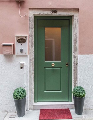 A green door with the number 589, a mailbox, a telephone, and two potted plants.