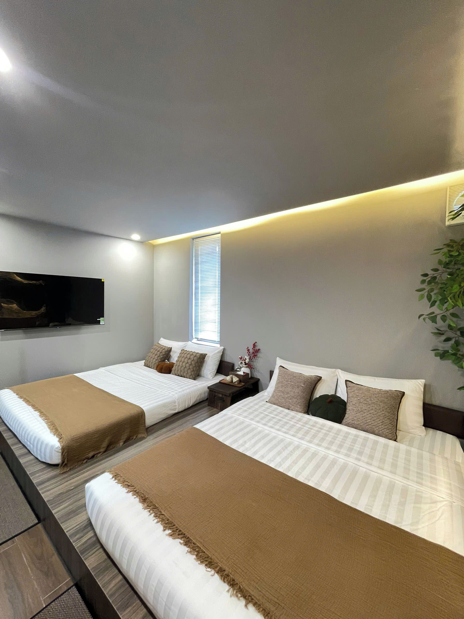 Habitación de hotel con dos camas, un televisor montado en la pared, una ventana con persianas y una planta a la derecha.