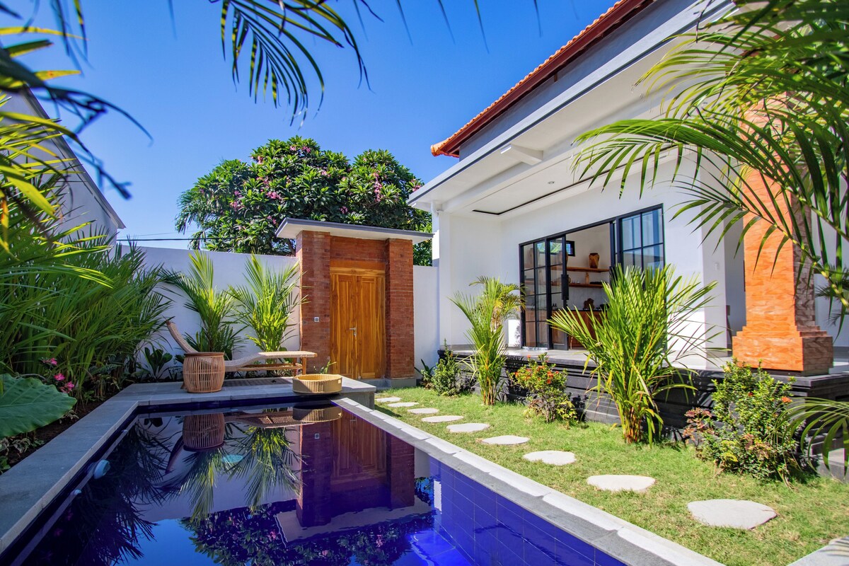 A modern house with a swimming pool, a wooden door, and a garden with stepping stones.