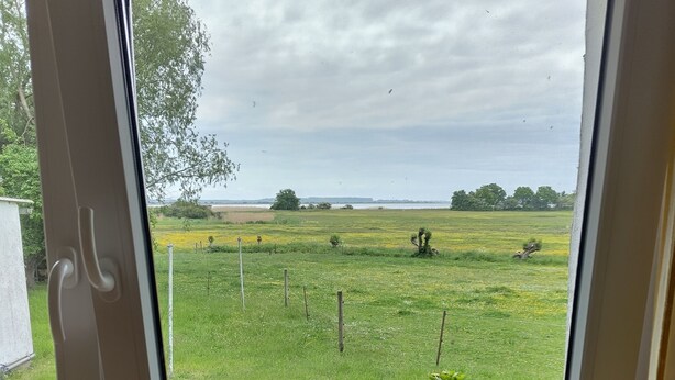 Ein Fenster mit Blick auf ein Wiesfeld, eine Bank und eine entfernte Baumgrenze.