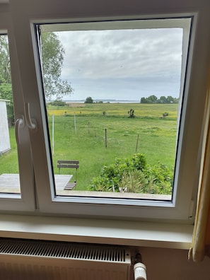 Une fenêtre donnant sur un champ verdoyant, un banc et une rangée d’arbres à l’horizon.