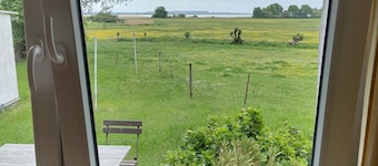 Bungalow Grieben-Hiddensee