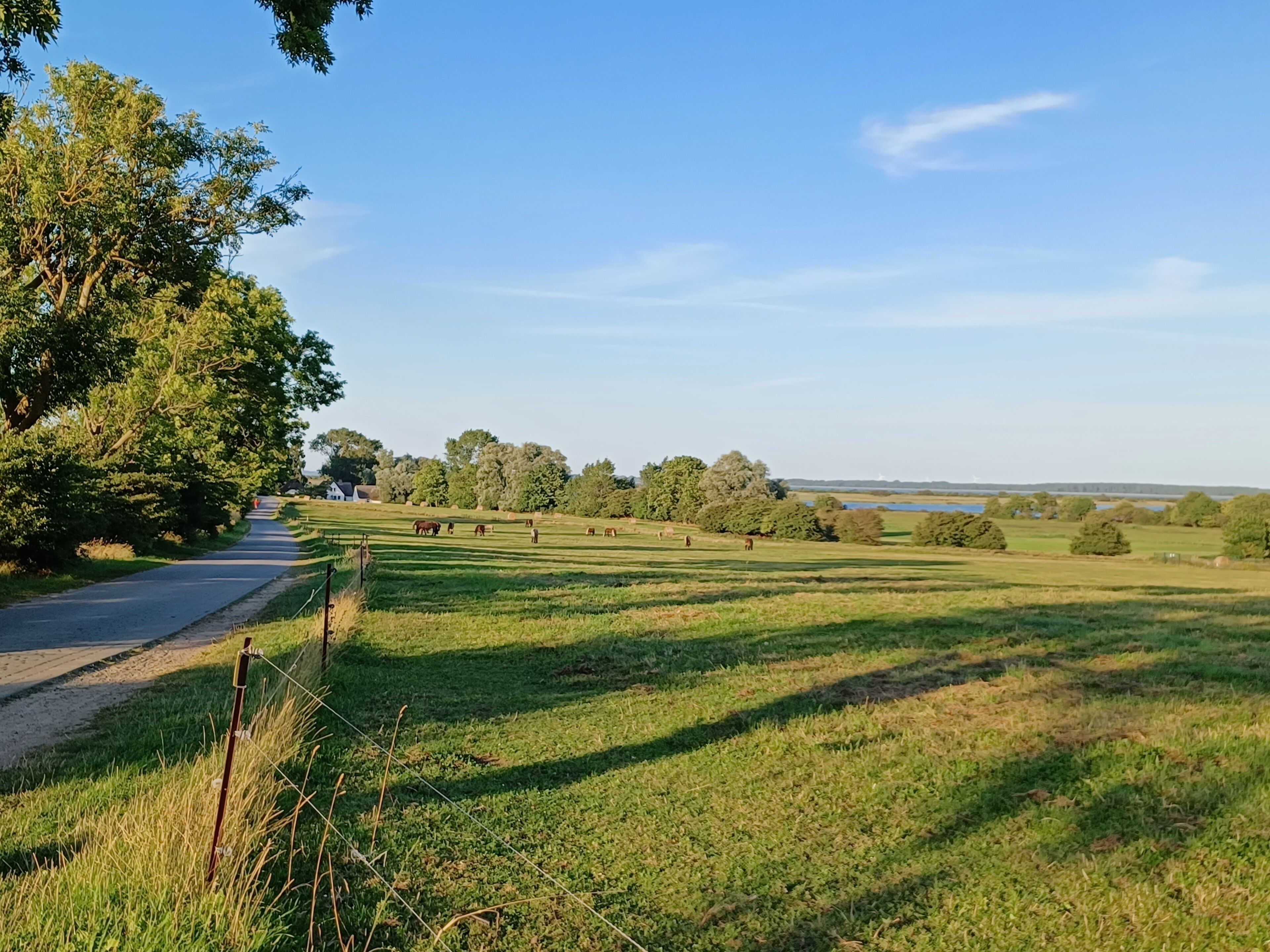 A rural landscape with a road, grassy fields, and trees.