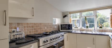 Cocina con estufa, horno, microondas y ventana con vista a cactus.
