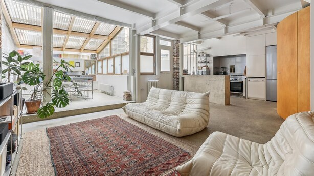 A spacious living area with a sofa, a patterned rug, and a potted plant. - Apartment 'Loft Design Center Paris 11th' with Wi-Fi (Paris)