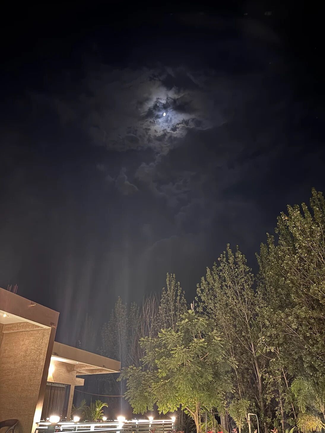 A nighttime view of a building with a modern architectural style, surrounded by trees.