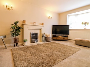A living room with a fireplace, a television, a sofa, and a large rug. - The Haven (Nottingham)
