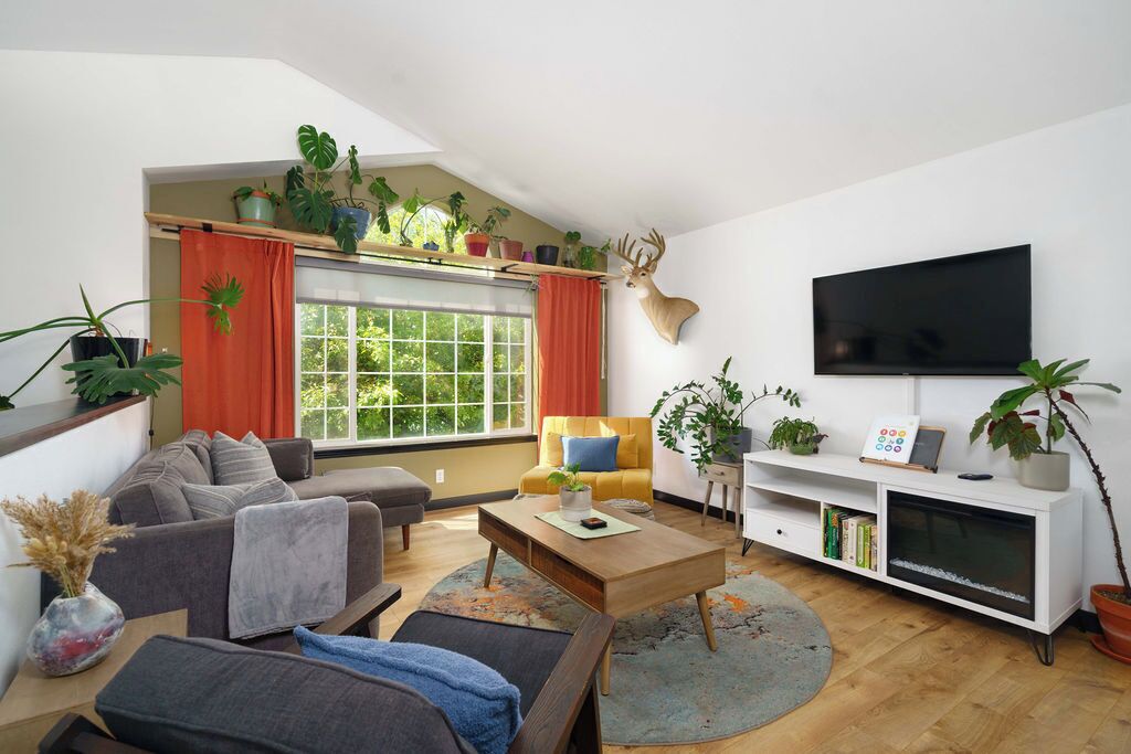 Smart TV, fireplace, video games, DVD player