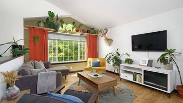 Smart TV, fireplace, video games, DVD player