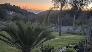 A garden with various plants and flowers, a palm tree, and a fence. - Casa Villa Aury — Cefalù, green oasis steps from the sea (Cefalù)
