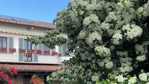 A building with a balcony, potted plants, and a tree with white flowers. - Casa Nizza D'Oro (Castelnuovo Calcea)
