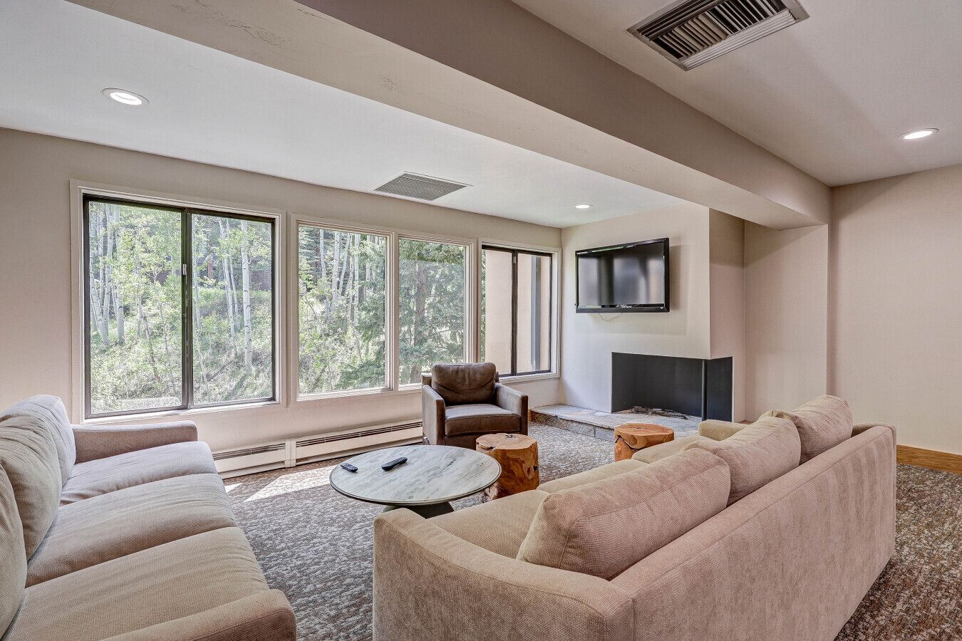 TV, fireplace