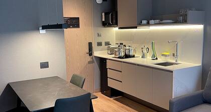 One Manquehue EXC Bright 1BR Apartment