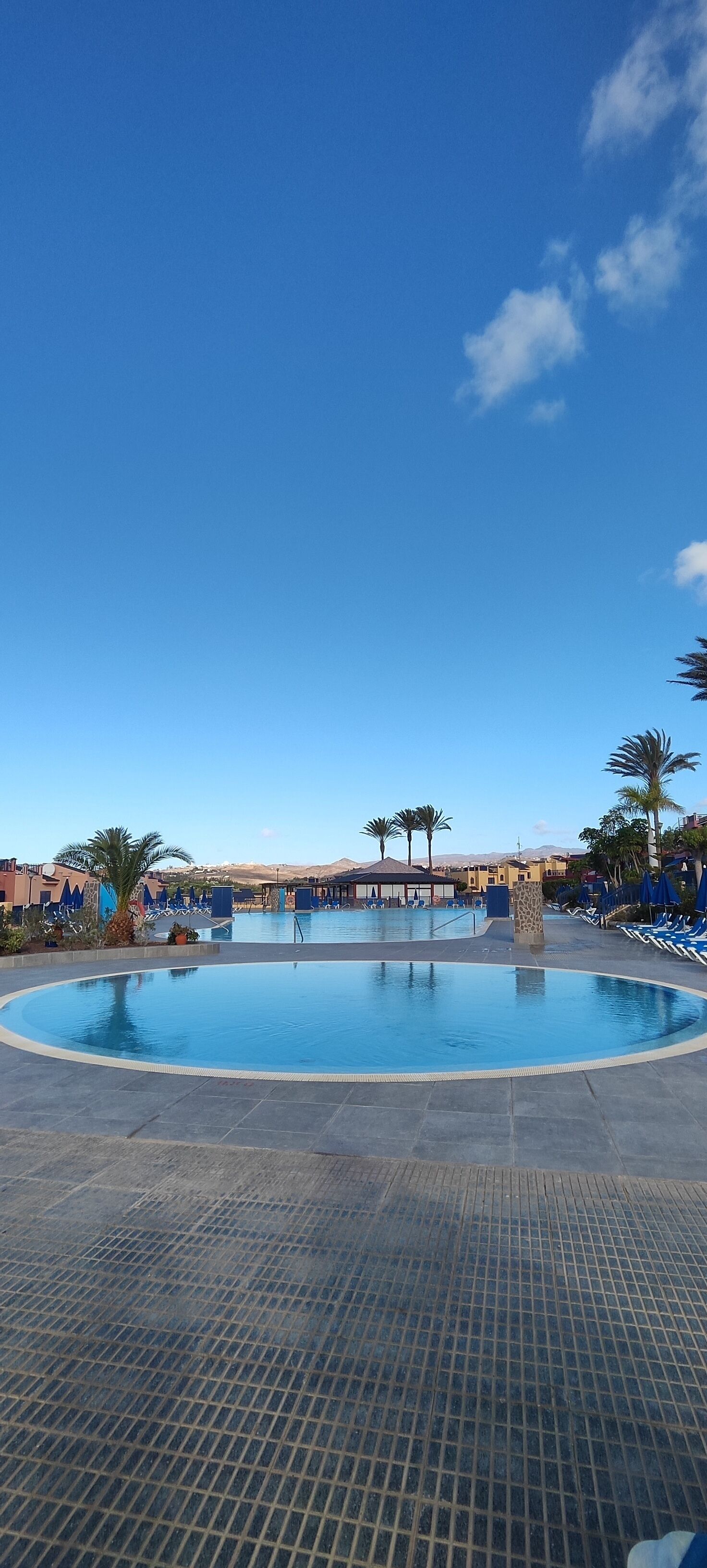 Un espace piscine avec des chaises longues et des palmiers.