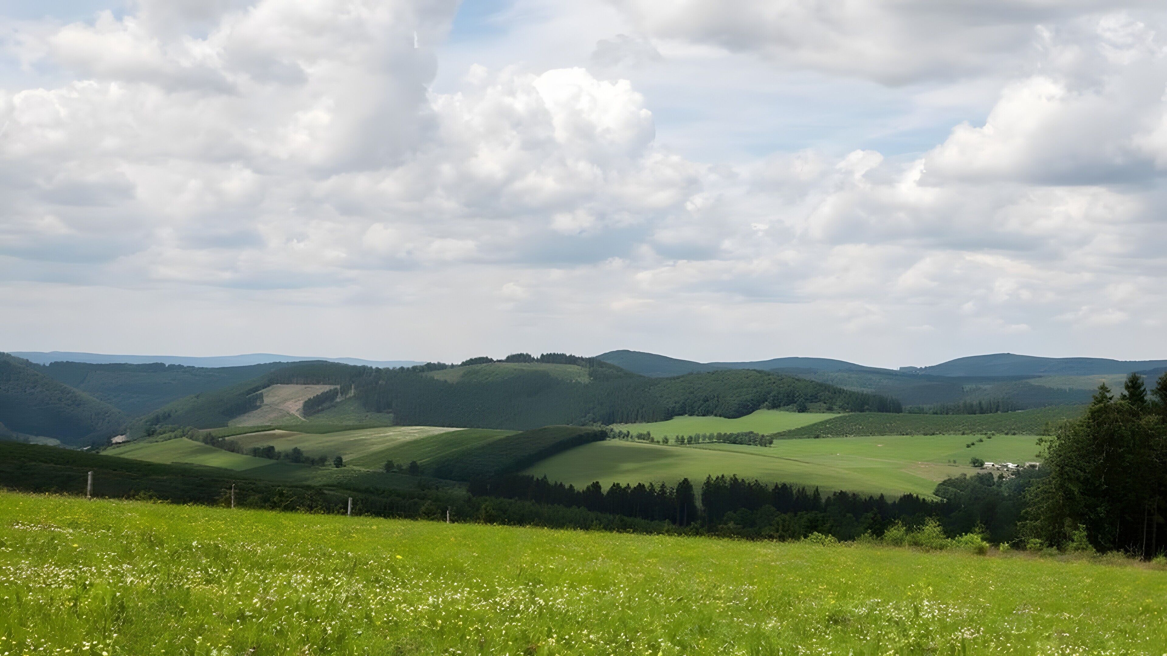 Ein weitreichender Blick über sanfte Hügel, grüne Felder und einen bewölkten Himmel.