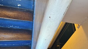 Eine Holztreppe mit weißer Handlauf und einer schwarzen Tür am Fuß.