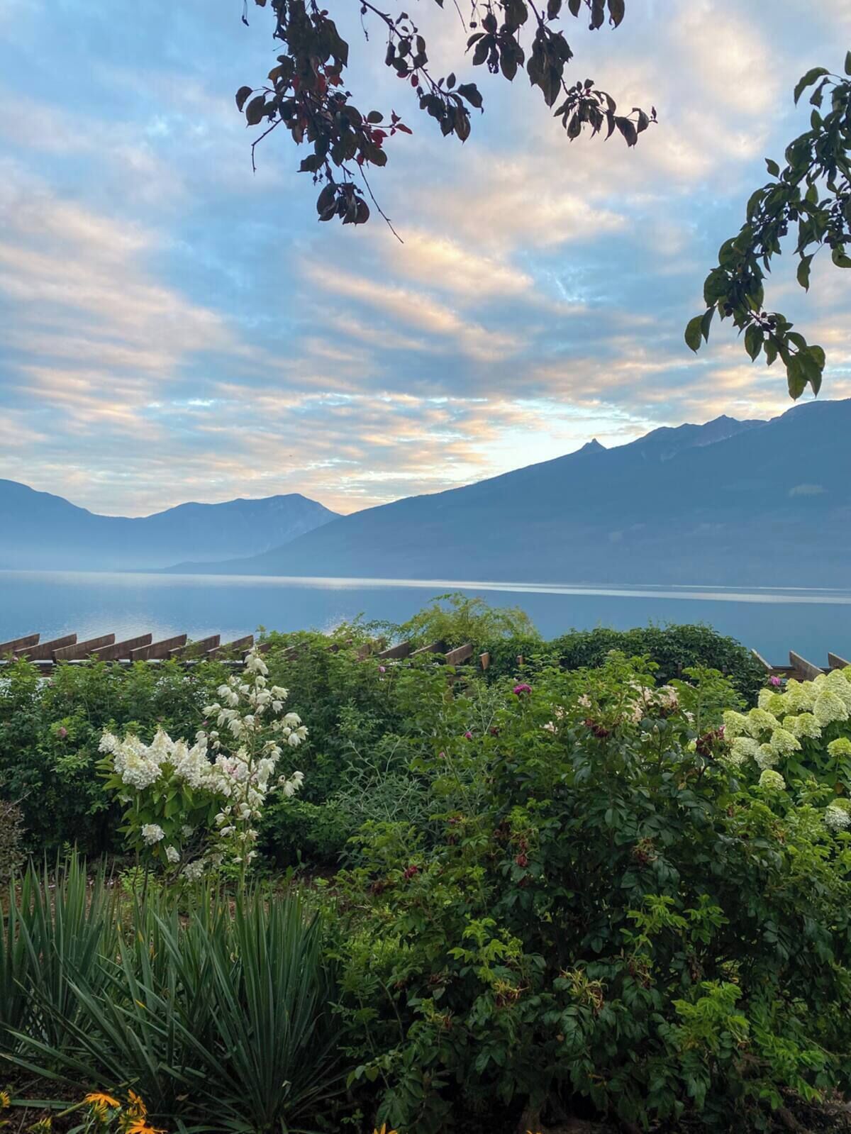 A mountainous landscape with a body of water and dense vegetation in the foreground.