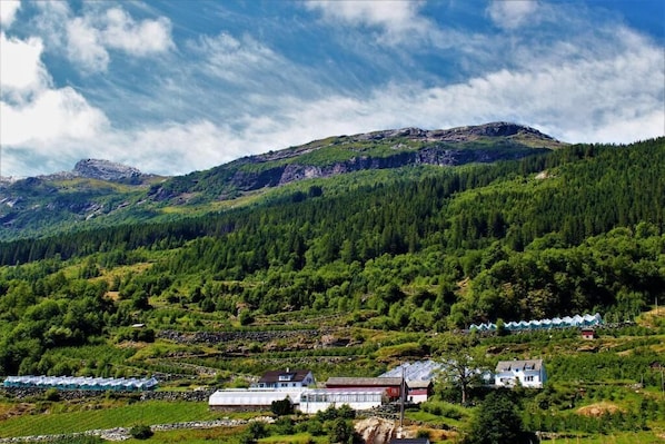 Miscellaneous - Fjord House Hardanger (Vestland)