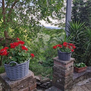 Exterior detail - Holiday Home 'Il Granaio' with Shared Garden and Wi-Fi (Arezzo)
