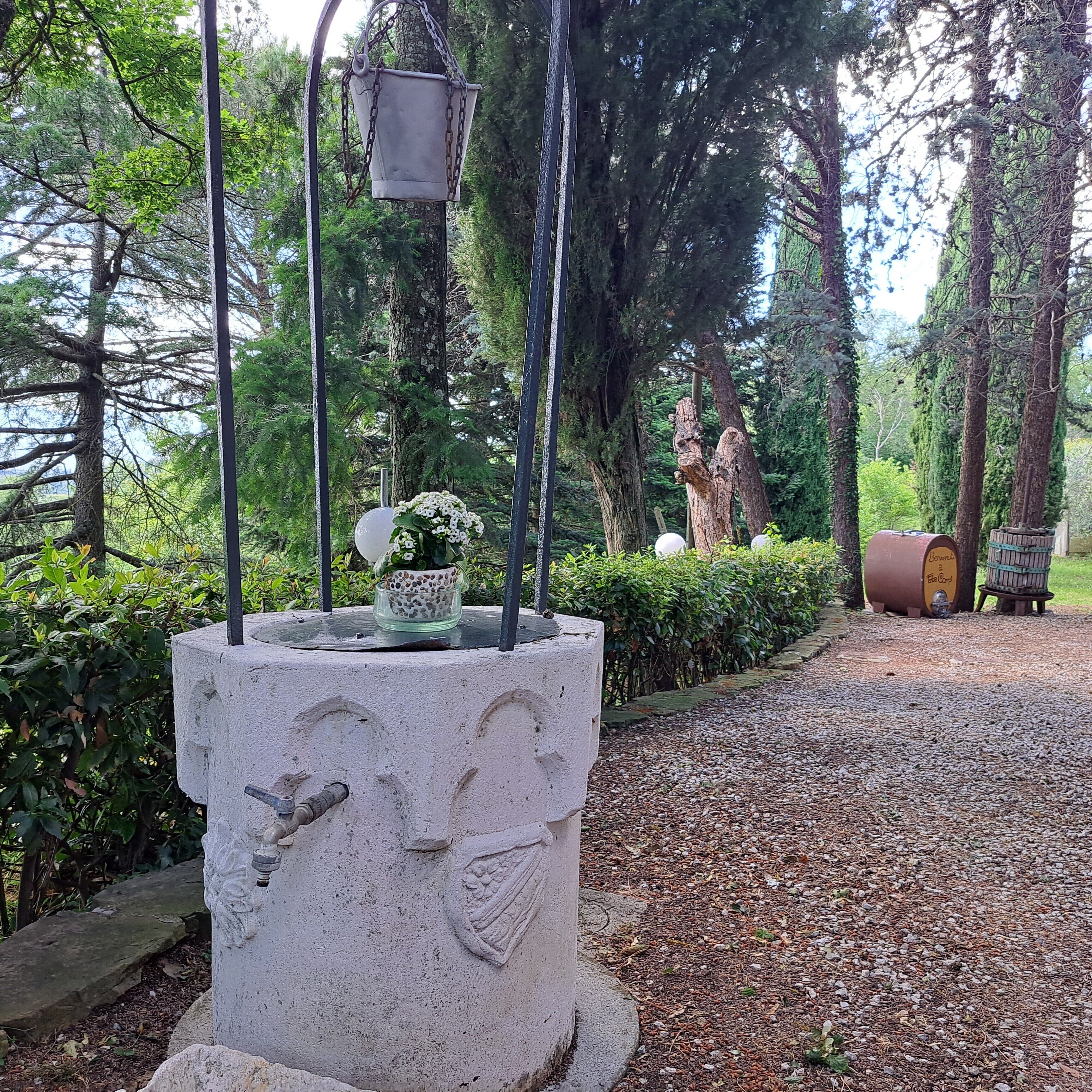Parco della struttura