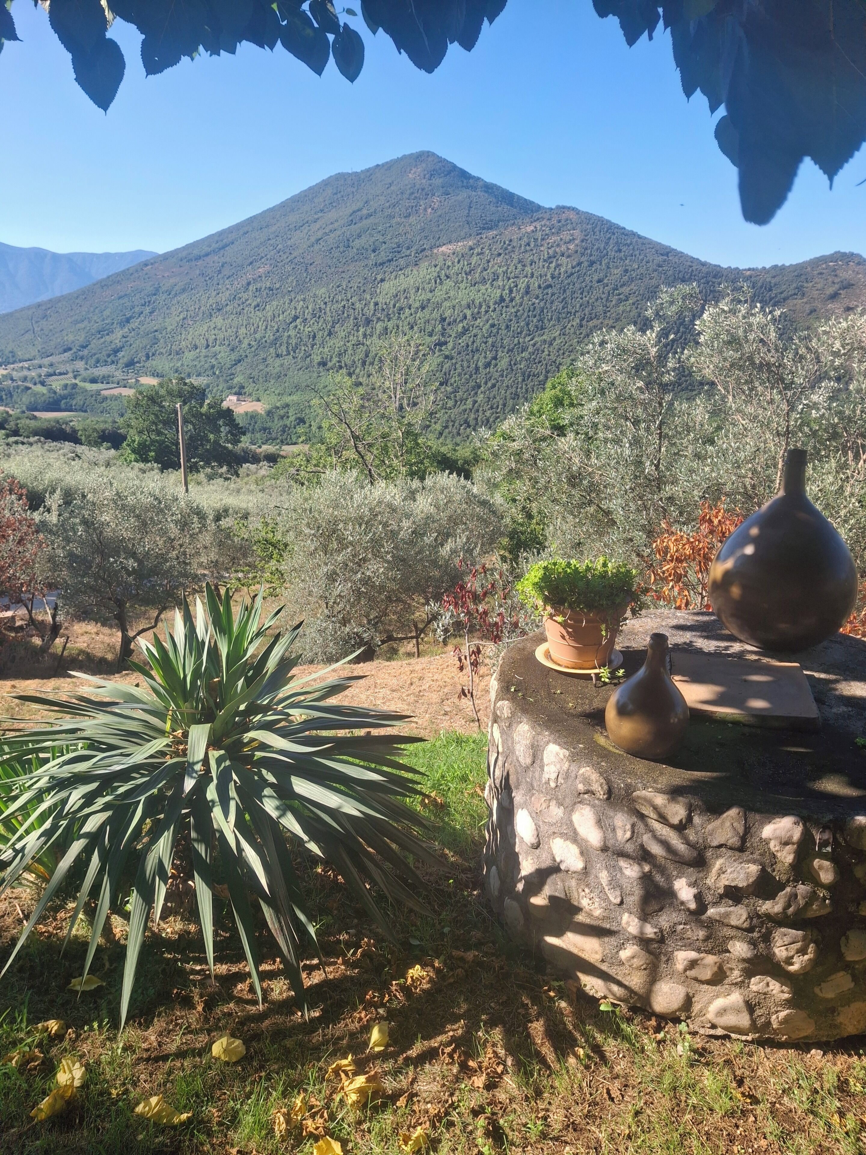 A garden with a stone planter, potted plants, and a view of a mountain.