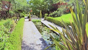 Um jardim com caminho, elemento de água e diversas plantas.