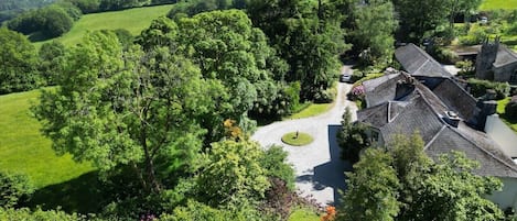 A residential area with a winding driveway, surrounded by lush greenery and a large tree.