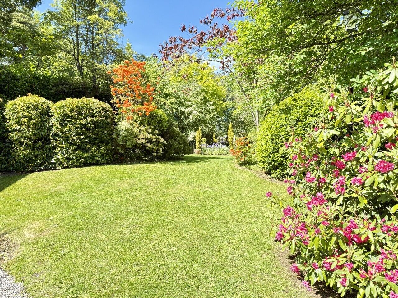 Un jardín bien cuidado con diversos arbustos y plantas florecientes.
