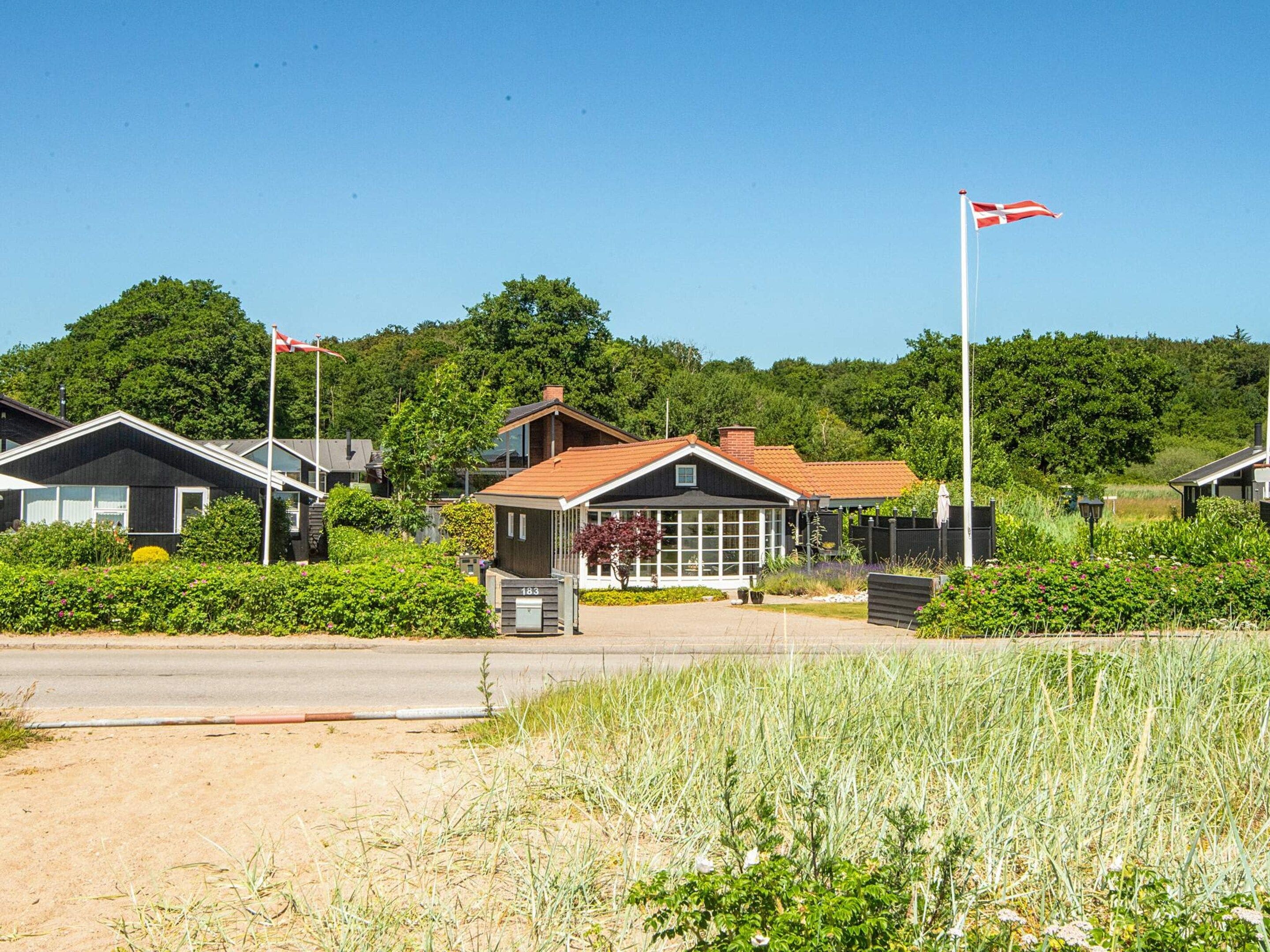 A residential area with houses, a flag, and a road.