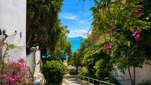 Un sentiero stretto costeggiato da una vegetazione rigogliosa e fiori colorati, che conduce a una vista panoramica su un corso d'acqua e montagne lontane.