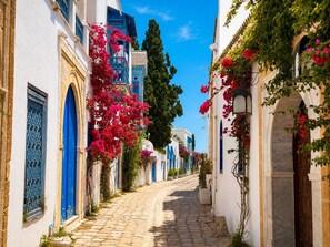 A narrow cobblestone street lined with white buildings featuring blue doors and windows, with pink bougainvillea flowers. - Villa Verde Sidi Bou Said (Sidi Bou Said)