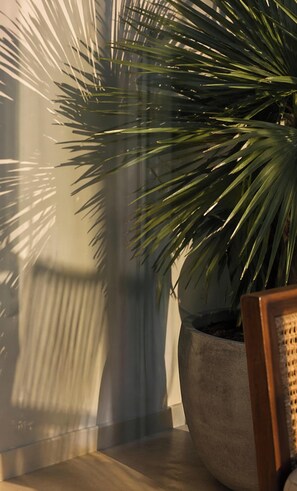Exterior detail - Cardinal Ventus Pines (Kasauli)