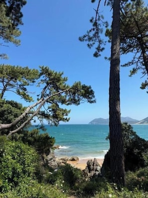 Un paysage côtier avec des pins, une plage de sable et une mer bleue et limpide.