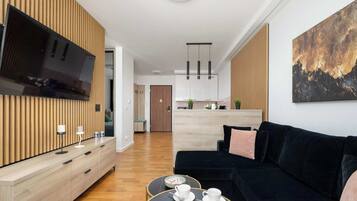 Fernseher, Arbeitsbereiche