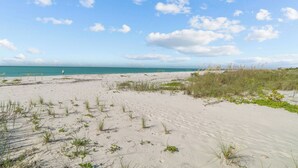 Ein sandiger Strand mit vereinzelter Vegetation und blauem Himmel.