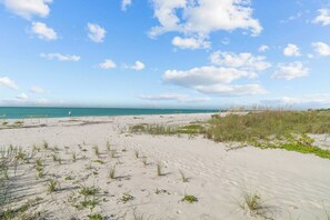 Ein sandiger Strand mit vereinzelter Vegetation und blauem Himmel.