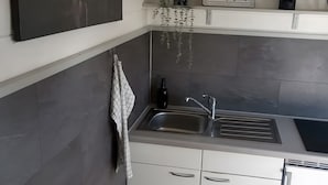 Uma cozinha com uma pia de aço inoxidável, uma garrafa e uma planta pendente.