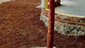 Un bâtiment avec un toit en métal, une base en briques et une clôture en bois en arrière-plan.