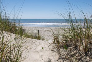 Ein Strand mit Dünen, einem Holzzaun und dem Meer im Hintergrund.