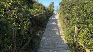 Ein hölzerner Steg führt zu einem Strand, umgeben von dichtem Grün.