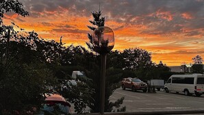 Un estacionamiento con vehículos, un árbol y un cielo al atardecer.