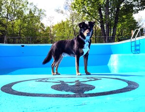 Pool - 2-bedroom mobile home w/ AC at Elkwood Campground in Wolverine, MI with POOL! (Wolverine)