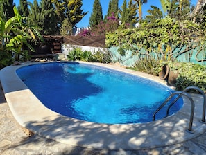 Ein Schwimmbad mit einer Steindeck, umgeben von verschiedenen Pflanzen und Bäumen.